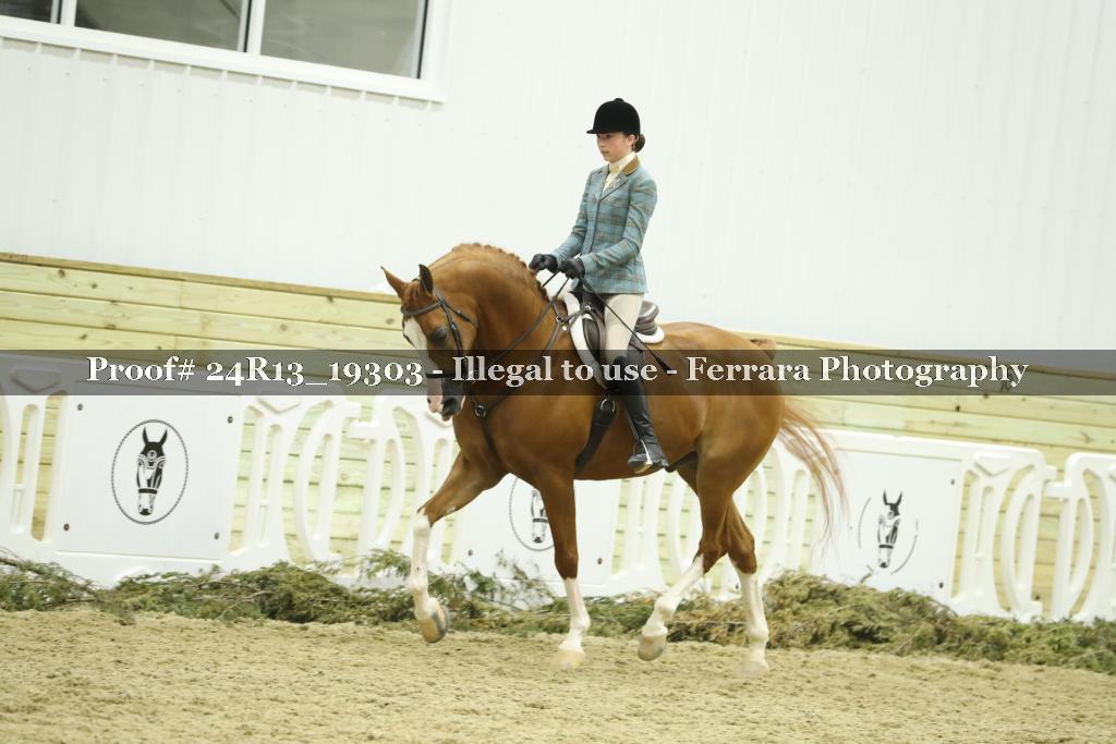 Proof 24R13_19303