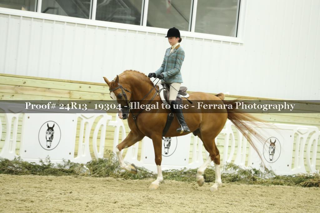 Proof 24R13_19304