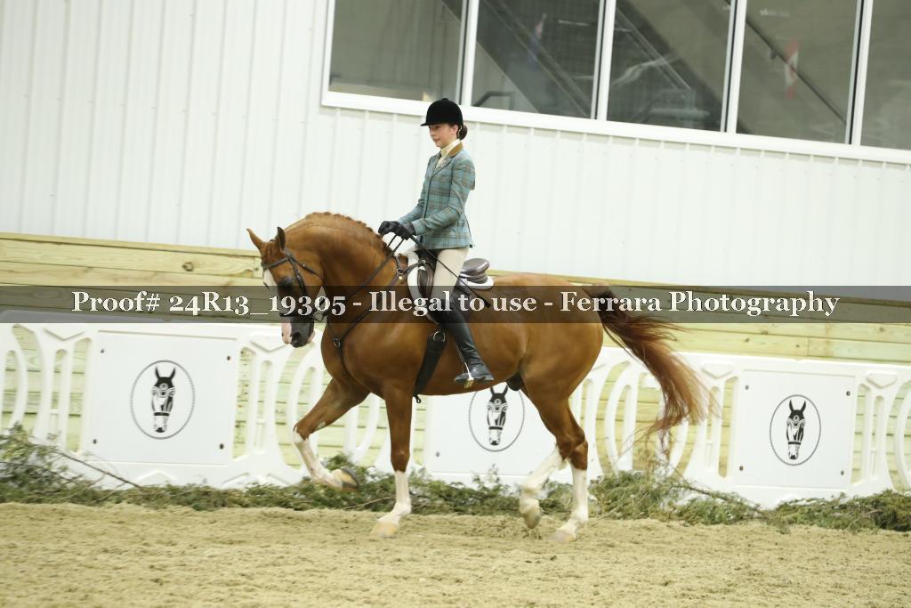 Proof 24R13_19305