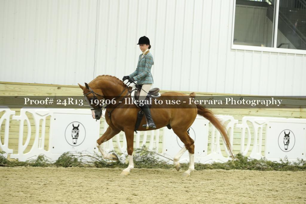 Proof 24R13_19306