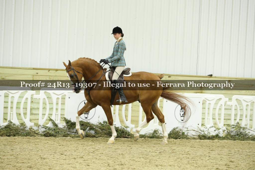 Proof 24R13_19307