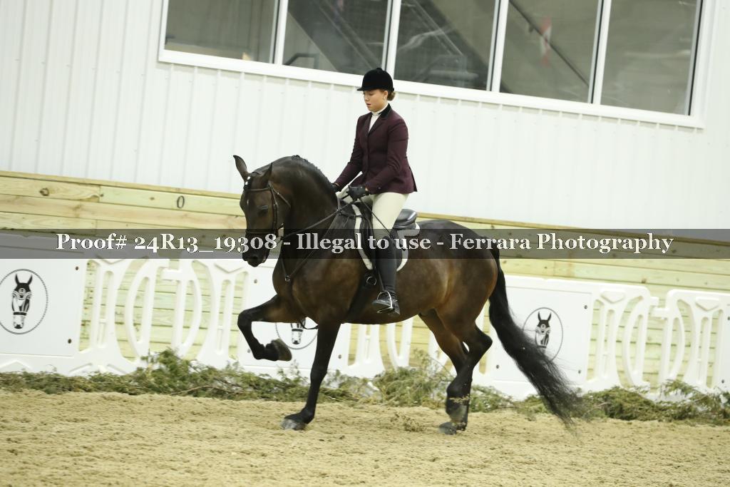 Proof 24R13_19308