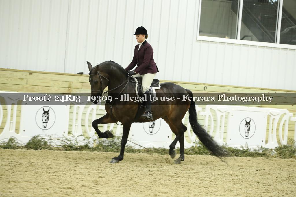 Proof 24R13_19309