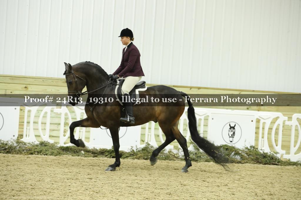 Proof 24R13_19310