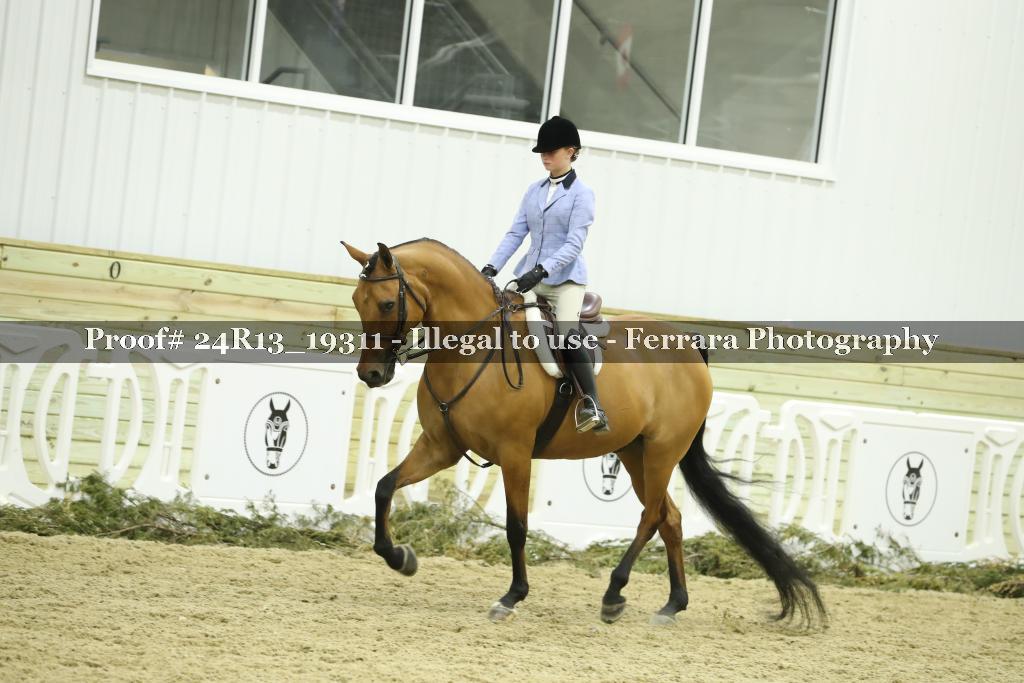 Proof 24R13_19311