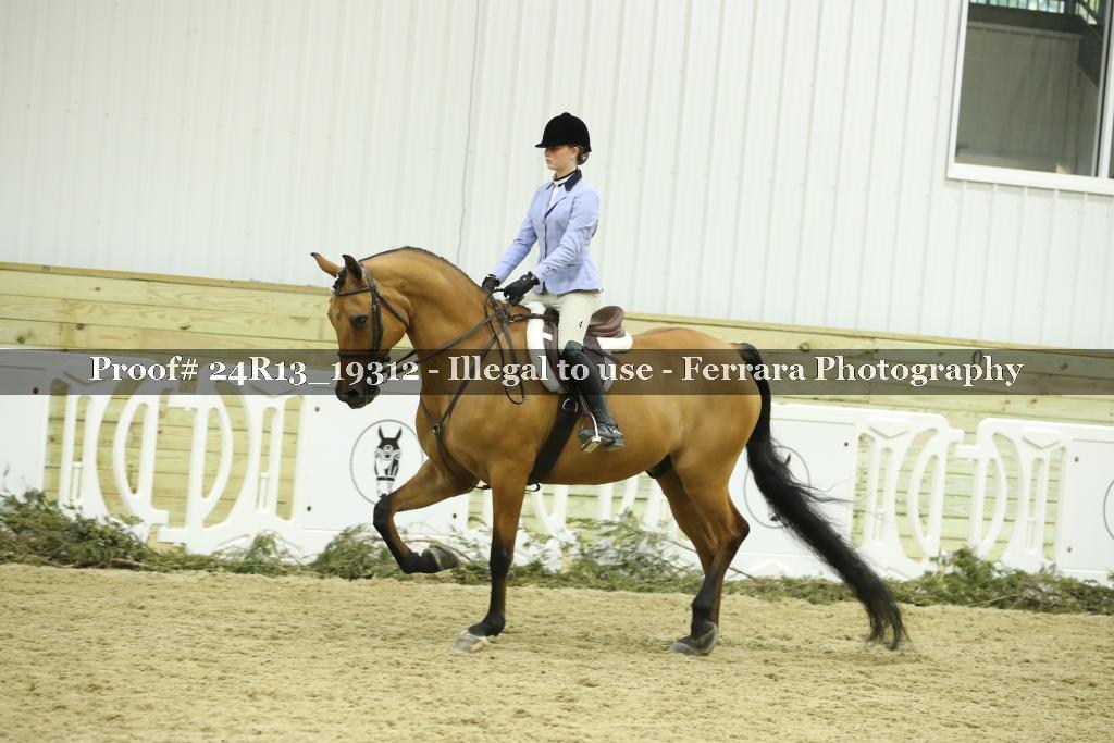 Proof 24R13_19312