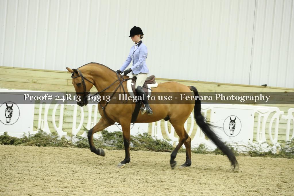 Proof 24R13_19313