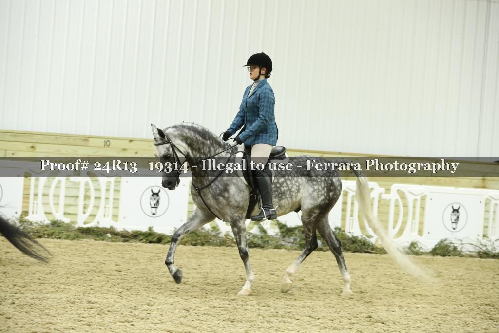 Proof 24R13_19314