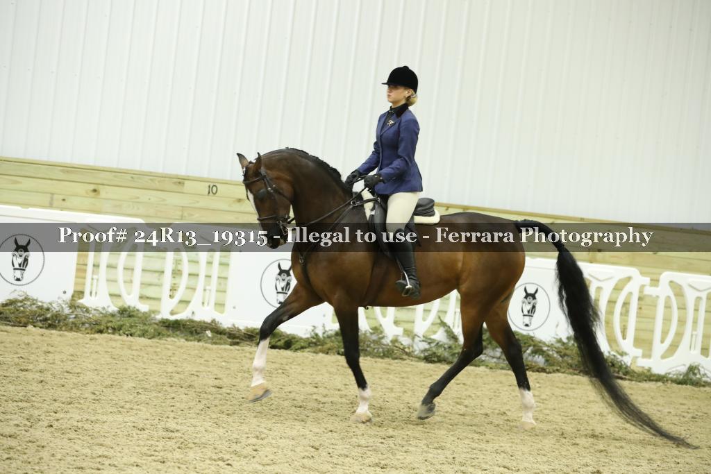 Proof 24R13_19315