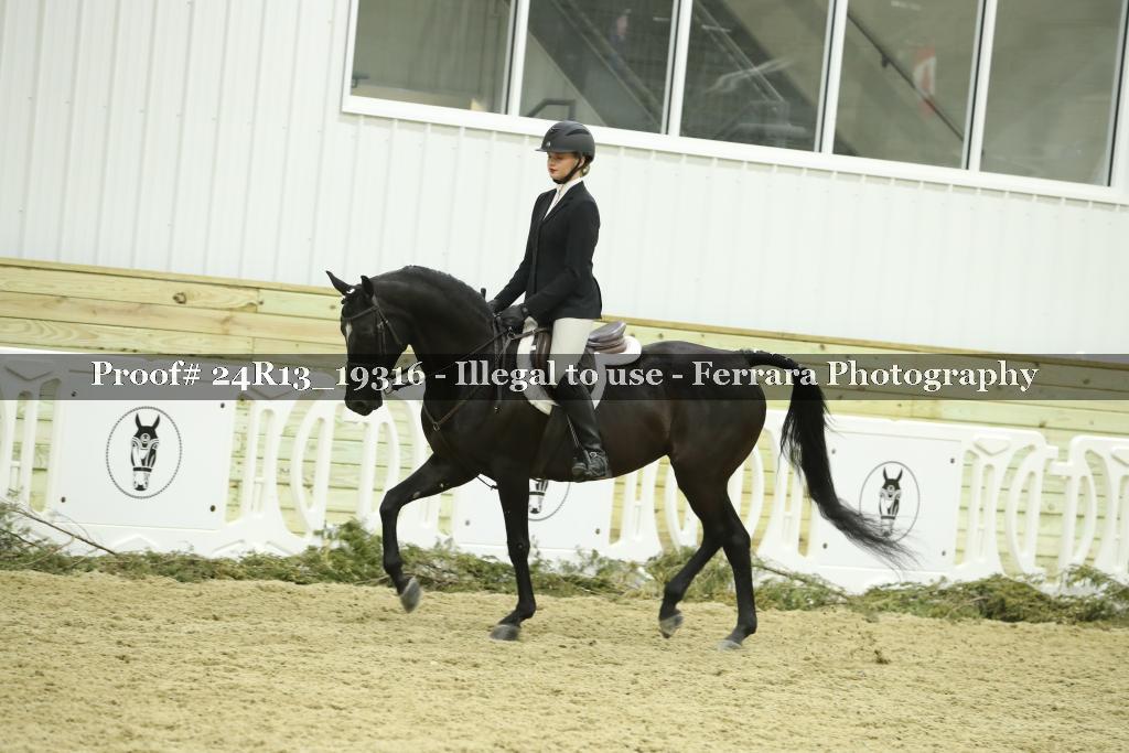 Proof 24R13_19316