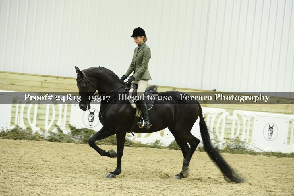 Proof 24R13_19317