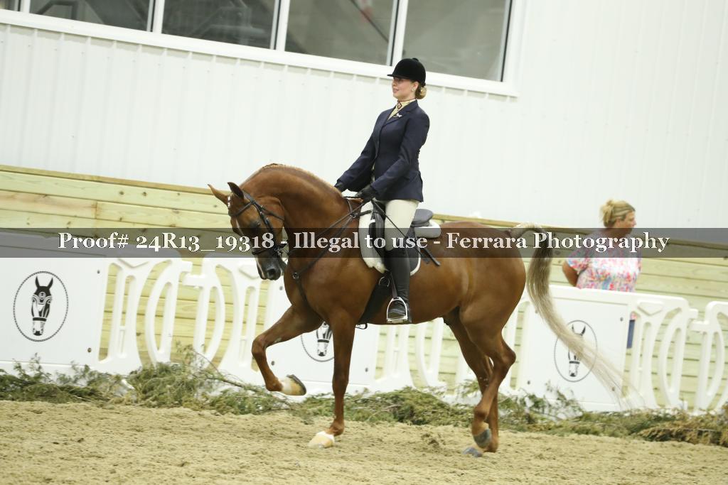 Proof 24R13_19318
