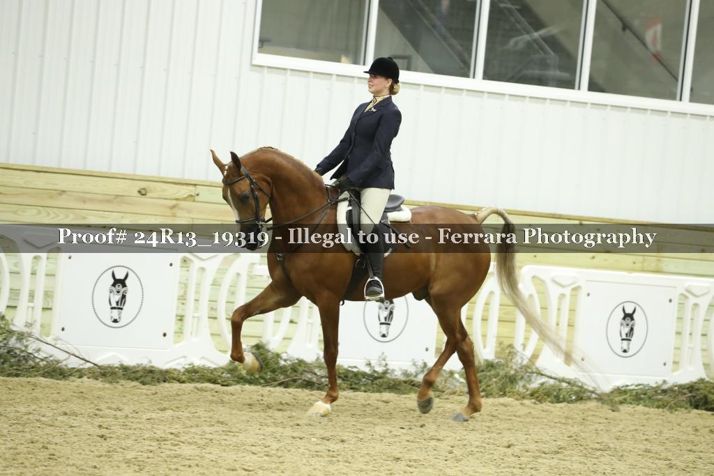Proof 24R13_19319