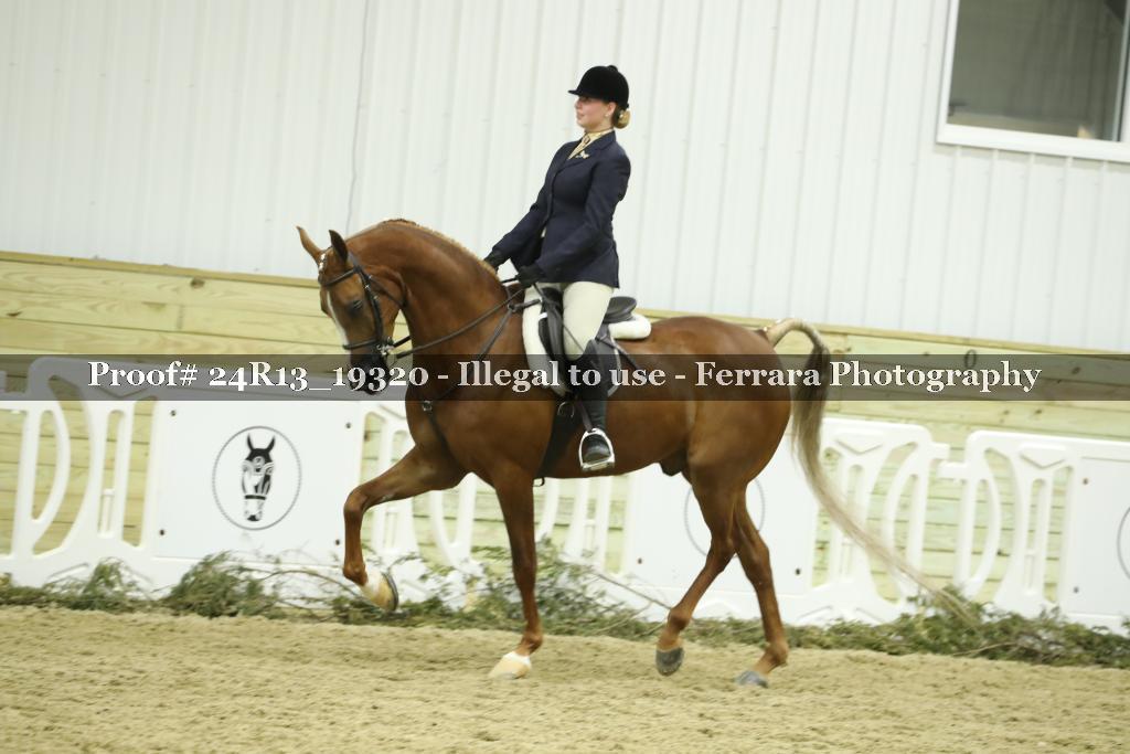 Proof 24R13_19320