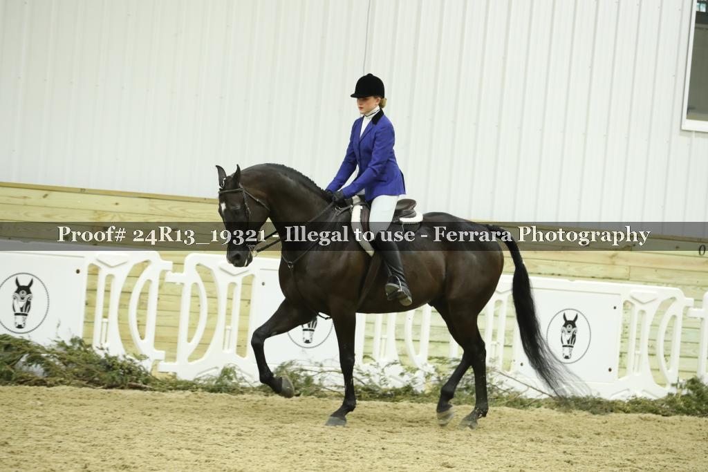 Proof 24R13_19321