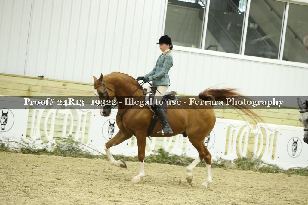 Proof 24R13_19322