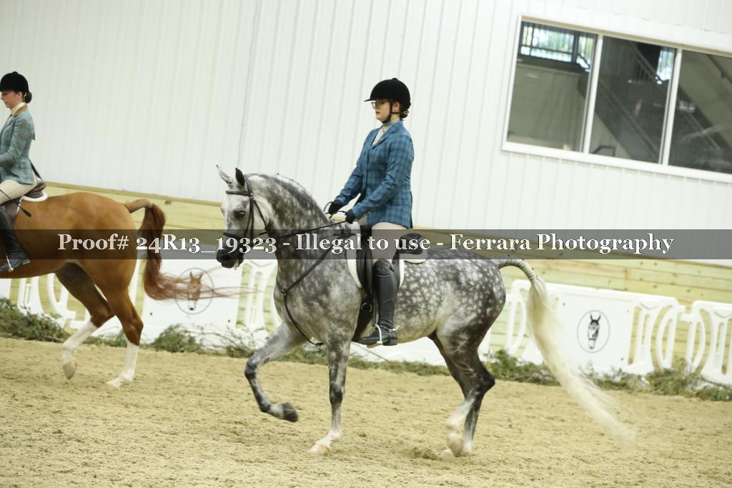 Proof 24R13_19323