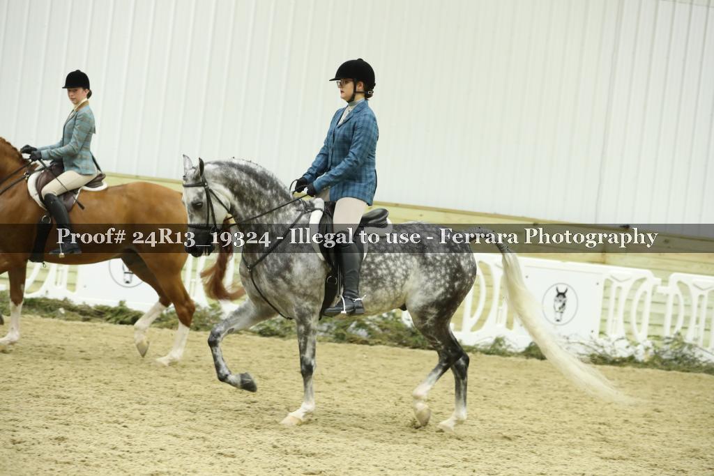 Proof 24R13_19324