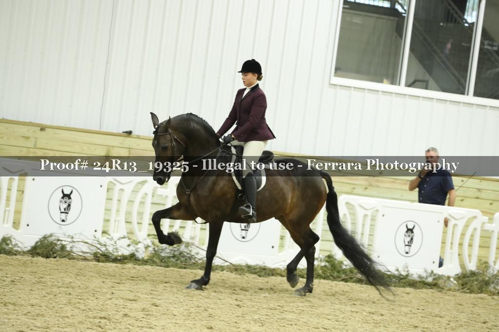 Proof 24R13_19325