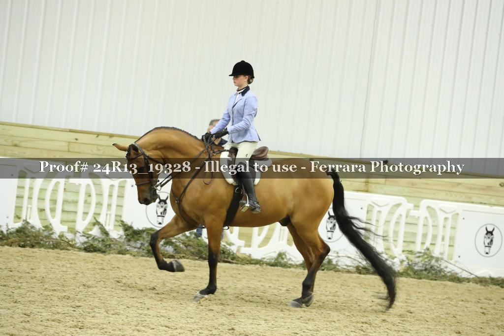 Proof 24R13_19328