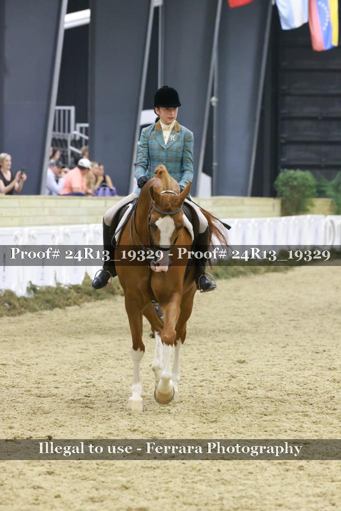 Proof 24R13_19329