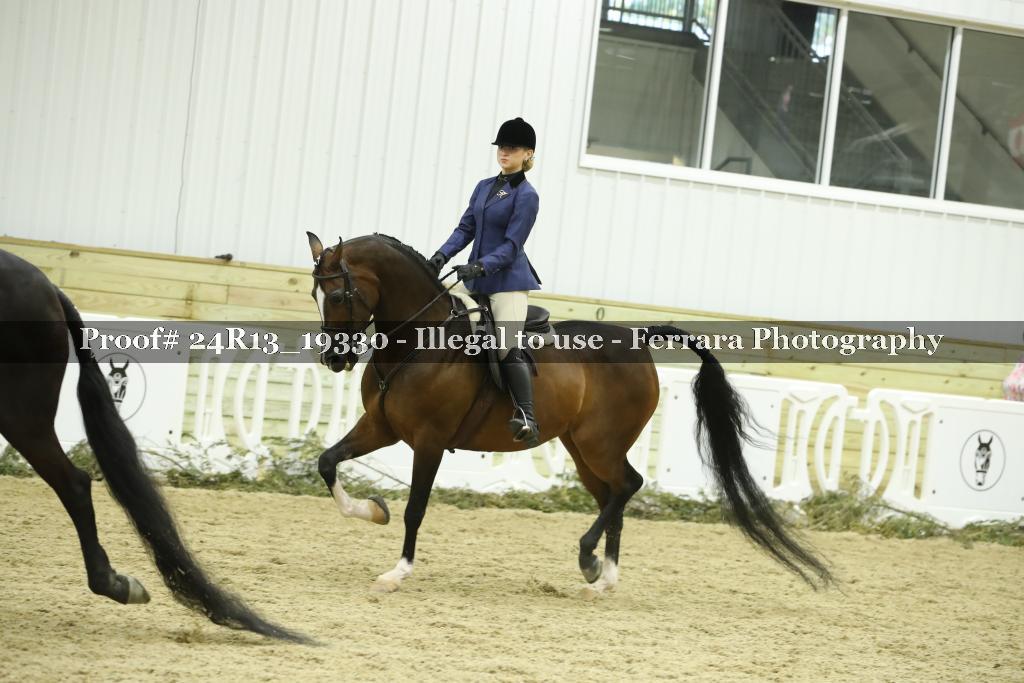 Proof 24R13_19330
