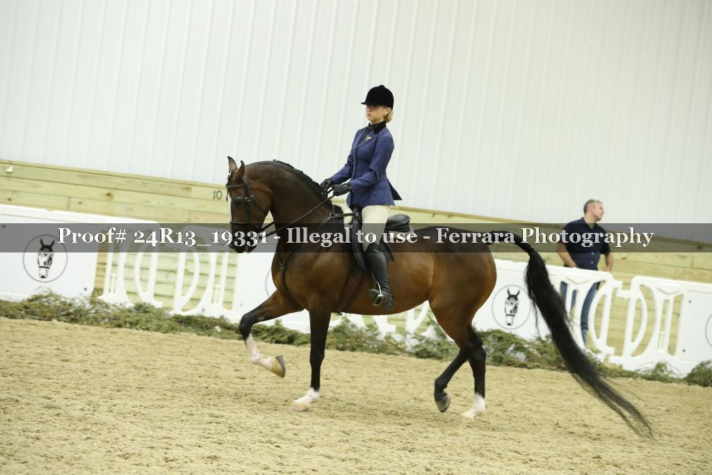 Proof 24R13_19331