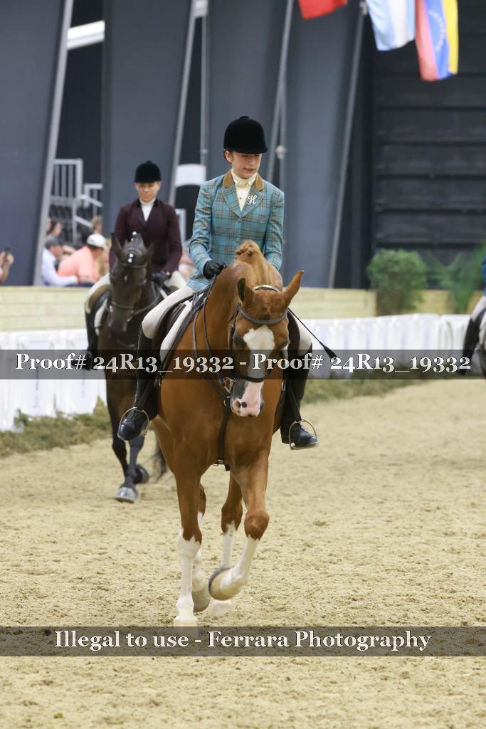 Proof 24R13_19332