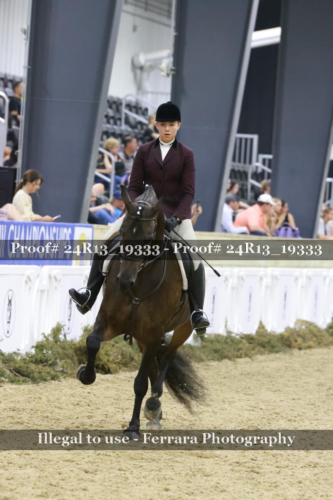 Proof 24R13_19333