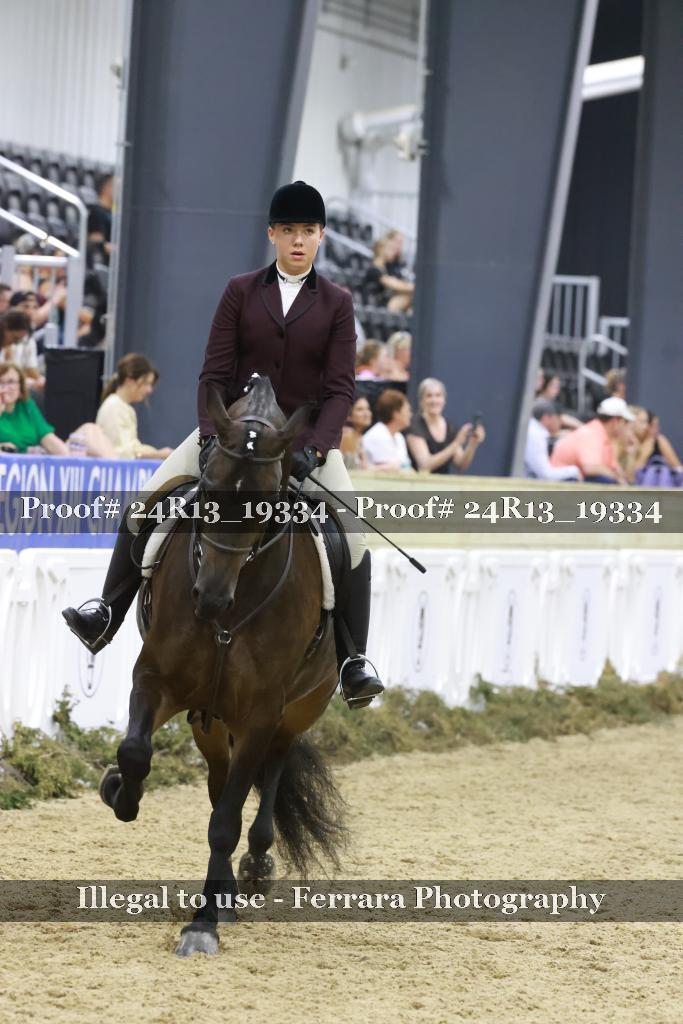 Proof 24R13_19334