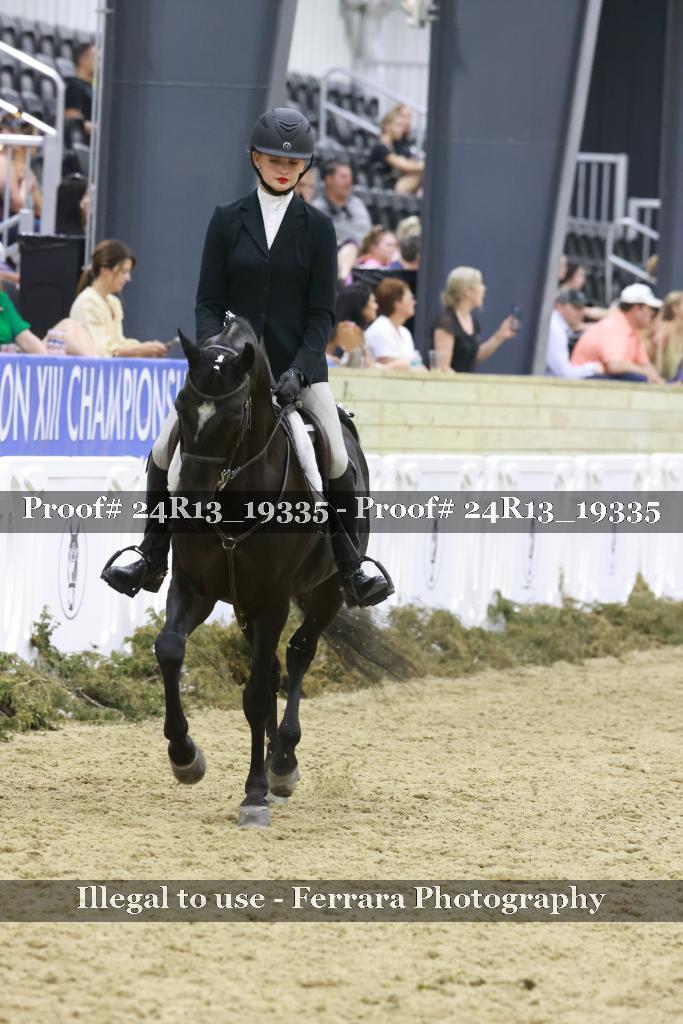 Proof 24R13_19335