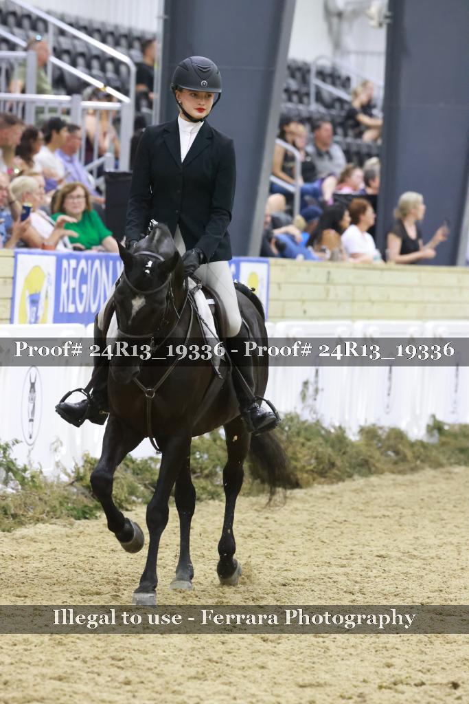 Proof 24R13_19336