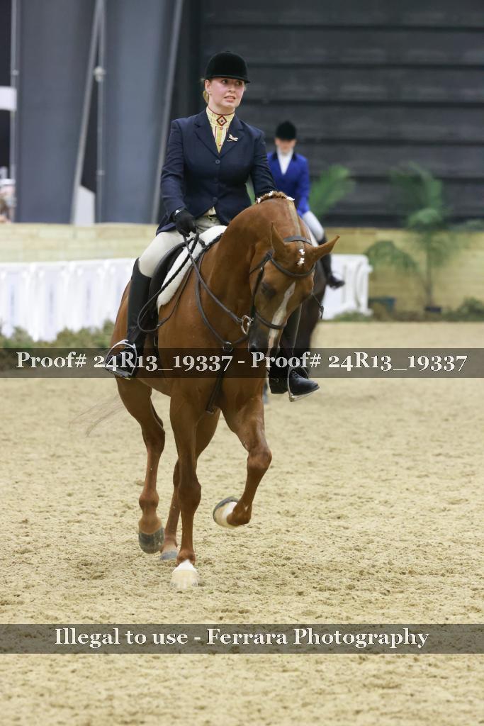 Proof 24R13_19337
