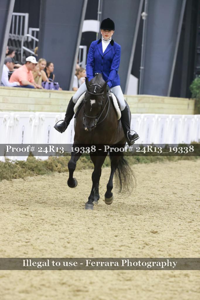 Proof 24R13_19338