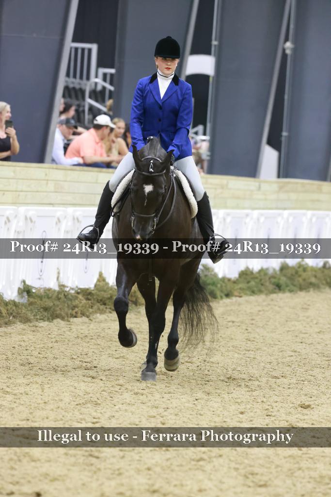 Proof 24R13_19339