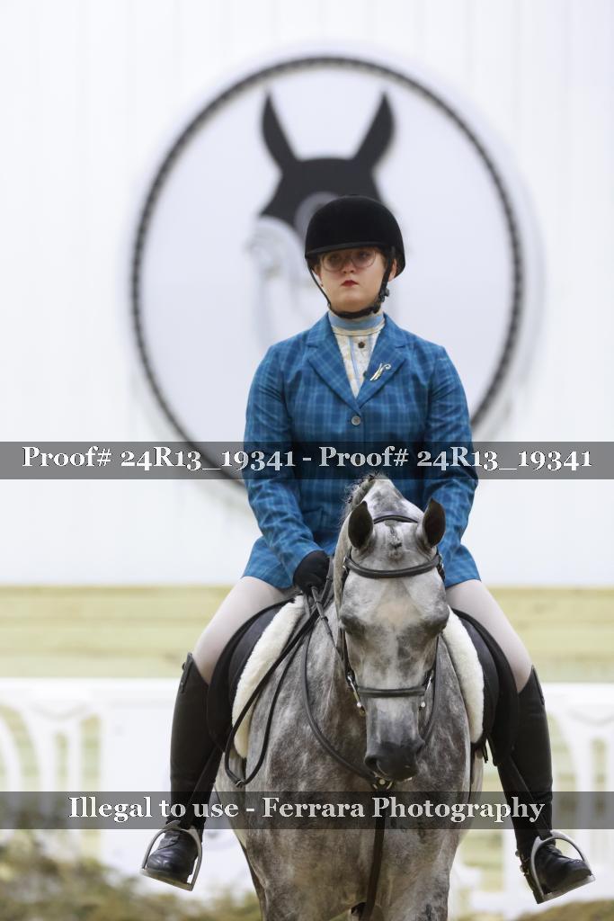 Proof 24R13_19341