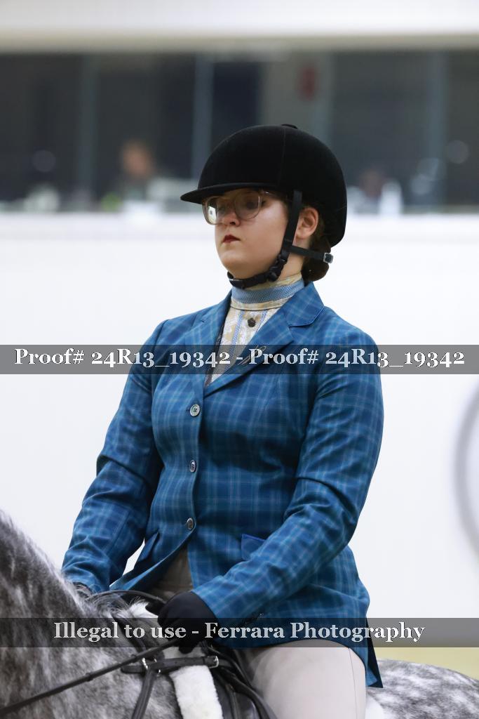Proof 24R13_19342