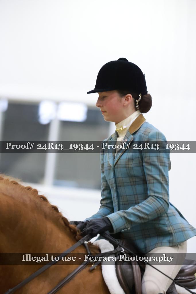 Proof 24R13_19344