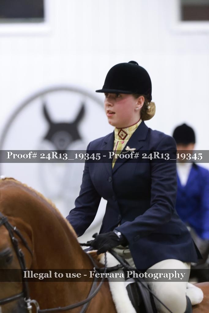 Proof 24R13_19345