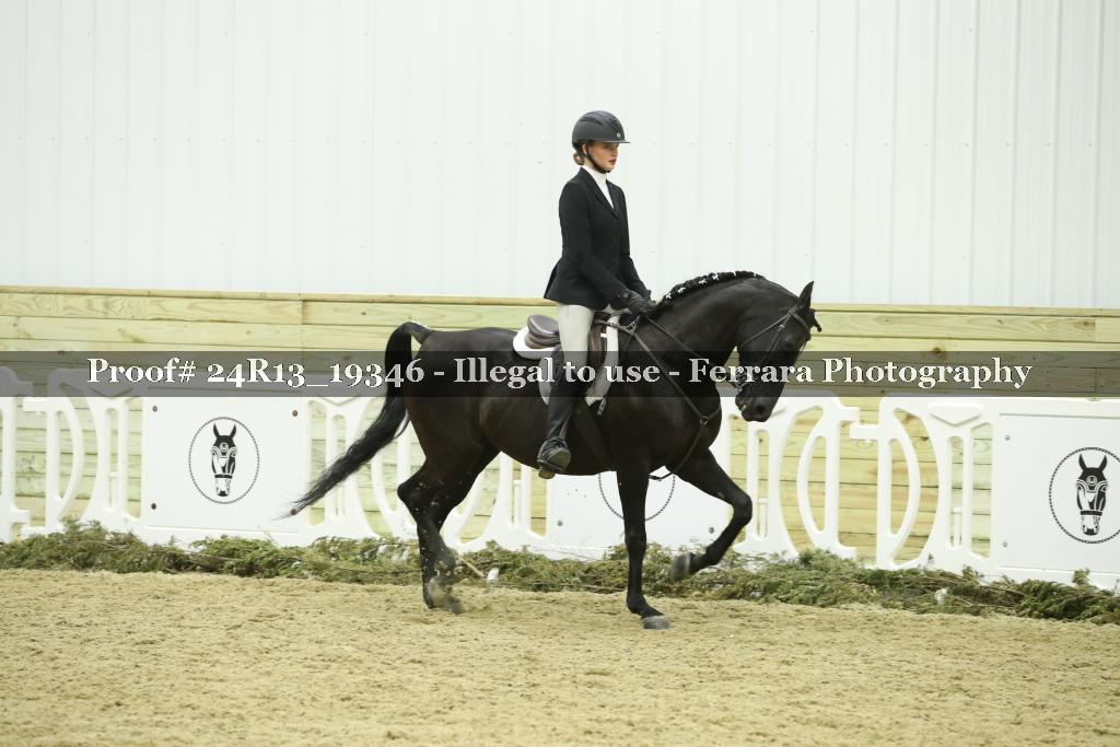 Proof 24R13_19346