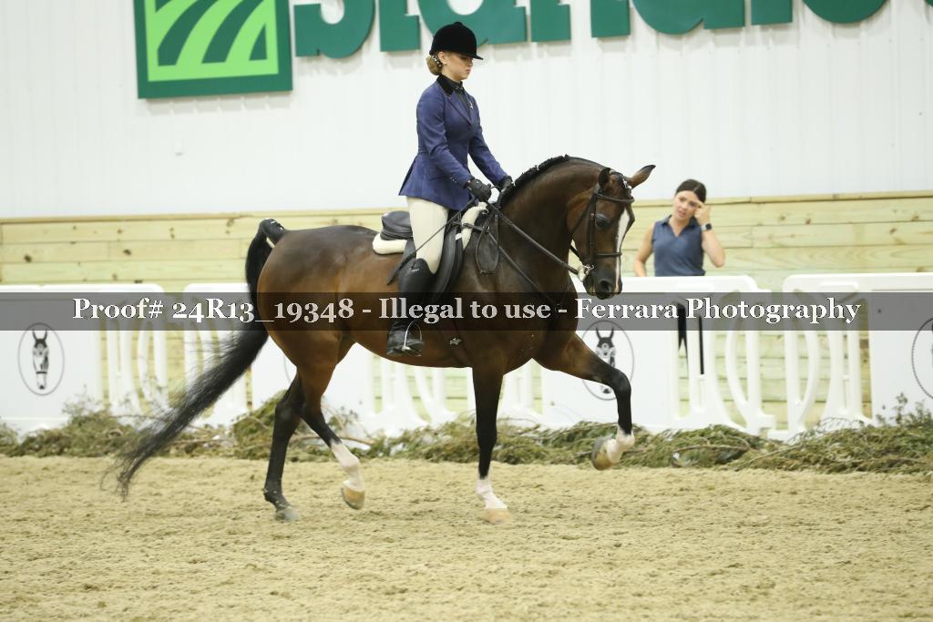 Proof 24R13_19348