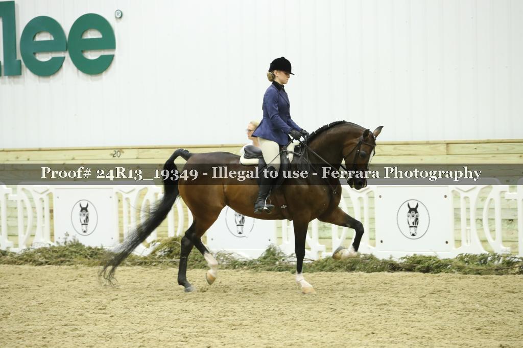 Proof 24R13_19349