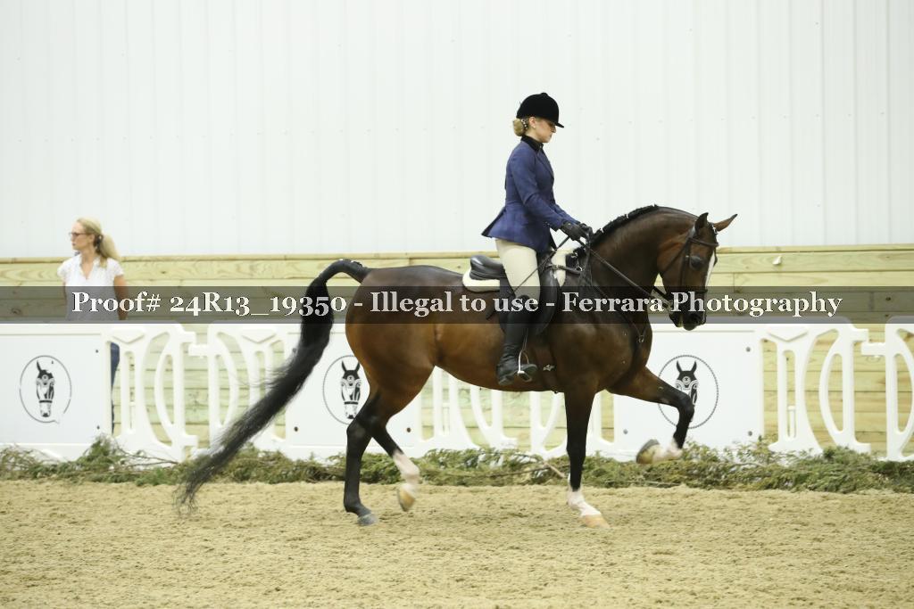 Proof 24R13_19350