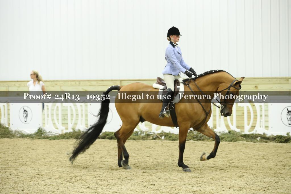 Proof 24R13_19352