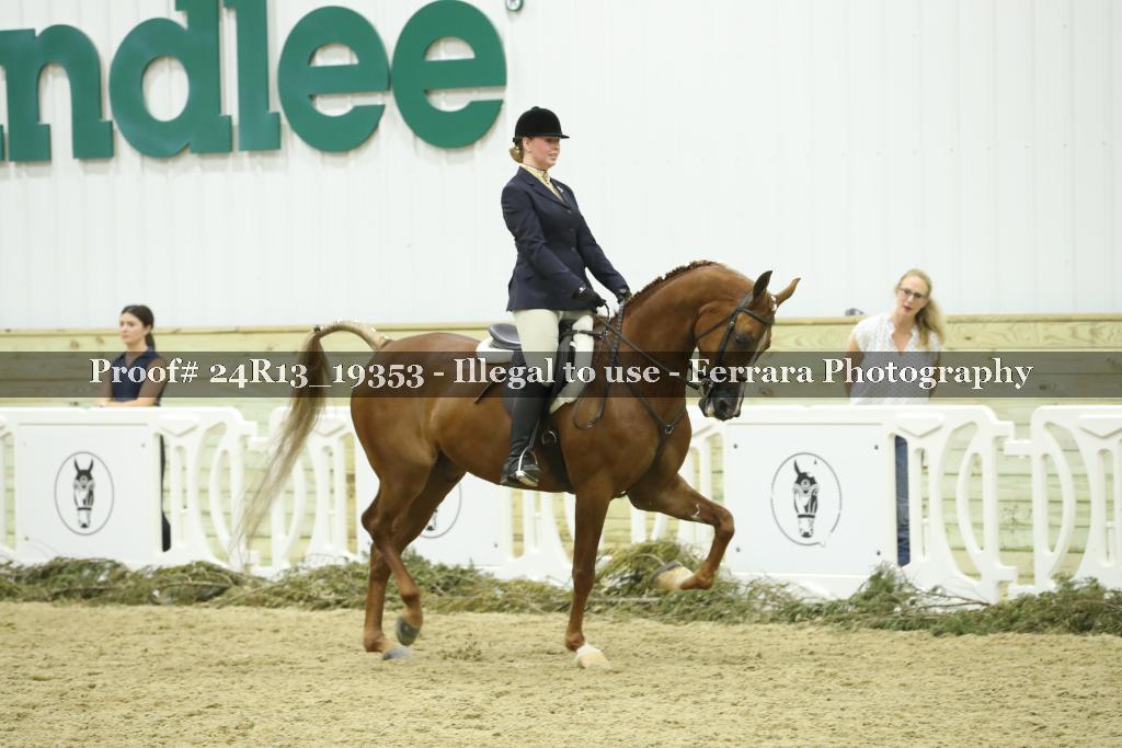 Proof 24R13_19353