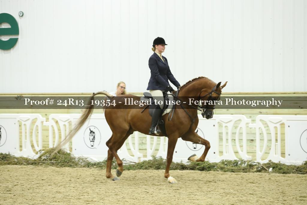 Proof 24R13_19354
