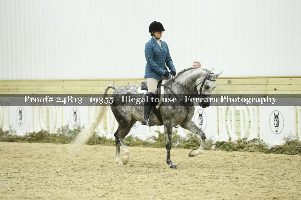 Proof 24R13_19355