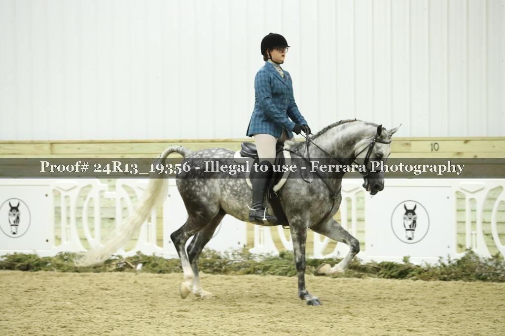 Proof 24R13_19356