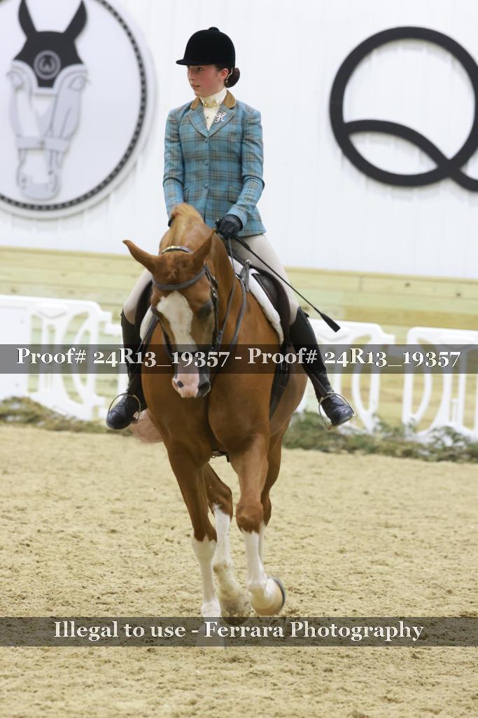 Proof 24R13_19357