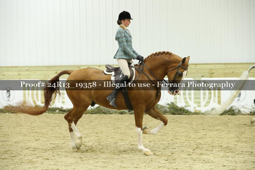 Proof 24R13_19358